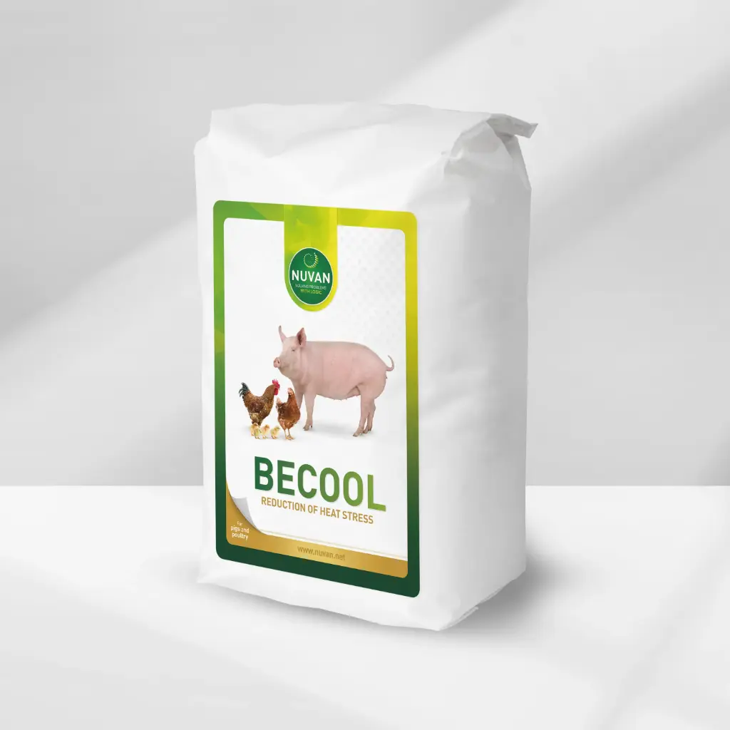 BECOOL (15kg)