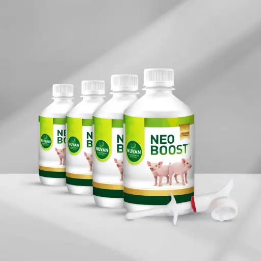 NEOBOOST (4 x 500 ml incl. 1 dispenser)