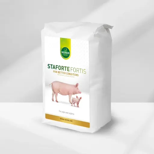 [STF15-1001] STAFORTE Fortis (15 kg)